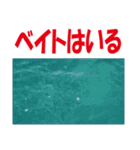 沖の島の釣り（個別スタンプ：17）