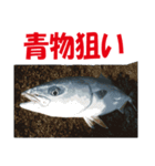 沖の島の釣り（個別スタンプ：20）