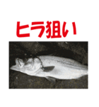 沖の島の釣り（個別スタンプ：21）