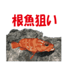 沖の島の釣り（個別スタンプ：22）