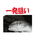 沖の島の釣り（個別スタンプ：23）