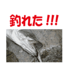 沖の島の釣り（個別スタンプ：24）