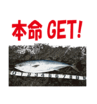 沖の島の釣り（個別スタンプ：25）