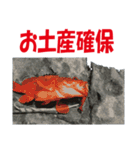 沖の島の釣り（個別スタンプ：26）