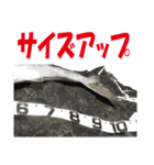 沖の島の釣り（個別スタンプ：28）