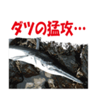 沖の島の釣り（個別スタンプ：29）
