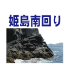 沖の島の釣り（個別スタンプ：36）