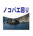 沖の島の釣り（個別スタンプ：38）