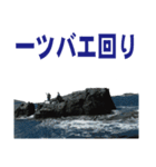 沖の島の釣り（個別スタンプ：40）