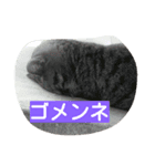Naganeko stump club 2（個別スタンプ：4）