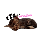 kanompangcapucino（個別スタンプ：2）