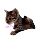 kanompangcapucino（個別スタンプ：9）
