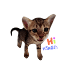 kanompangcapucino（個別スタンプ：12）