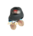 桜文鳥です（個別スタンプ：5）