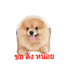 Khaow's family（個別スタンプ：5）