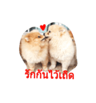 Khaow's family（個別スタンプ：8）