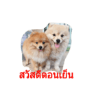 Khaow's family（個別スタンプ：14）
