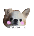 ne2k（個別スタンプ：8）