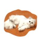だいじょうぶ？（個別スタンプ：1）