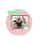 挨拶  色々1（個別スタンプ：8）