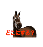 サラブレッド！大好き！（個別スタンプ：2）