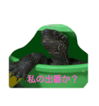 亀 レオン（個別スタンプ：1）