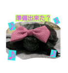 亀 レオン（個別スタンプ：7）