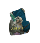 シェリーDAKS（個別スタンプ：3）