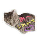 hoolly holiday cat（個別スタンプ：2）