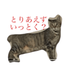 NARU love（個別スタンプ：5）