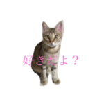NARU love（個別スタンプ：7）