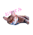 NARU love（個別スタンプ：8）