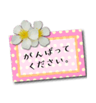 丁寧でオトナ可愛い 花のメッセージカード（個別スタンプ：4）