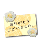 丁寧でオトナ可愛い 花のメッセージカード（個別スタンプ：13）