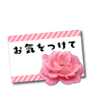 丁寧でオトナ可愛い 花のメッセージカード（個別スタンプ：24）