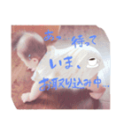 tsubasa's  stamp（個別スタンプ：14）
