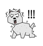 Terrain The westie "English version"（個別スタンプ：7）