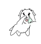 Terrain The westie "English version"（個別スタンプ：26）