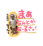 akkun love y（個別スタンプ：5）