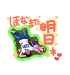 akkun love y（個別スタンプ：16）