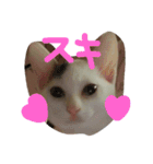 めぽ！（個別スタンプ：3）