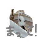 めぽ！（個別スタンプ：5）