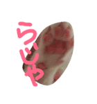 めぽ！（個別スタンプ：11）