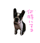 可愛いコウ（個別スタンプ：5）