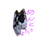 可愛いコウ（個別スタンプ：6）