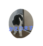 とのまるスタンプ2（個別スタンプ：5）