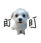 a kerker dog（個別スタンプ：2）