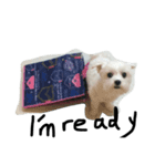 a kerker dog（個別スタンプ：4）