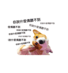 corgi fly（個別スタンプ：16）