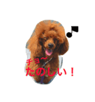 りっくんすたんぷ！！（個別スタンプ：3）